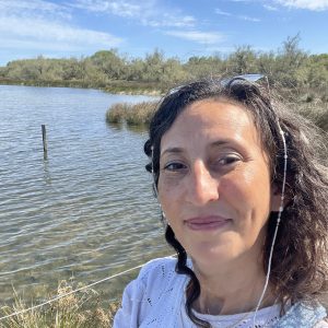 Cordons à lunettes Elyzia chaines de lunettes bijou de lunettes gris et transparent cristal, fait main en perles de verres très fines et petites 2mm japonaises Miyuki, pierre naturelle, perles de culture d'eau douce blanche, perles de coquillages, perles dorées , acier inoxydable, couleur des embouts à choisir